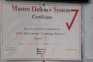 https://kravmagadefense360.fr/wp-content/uploads/2026/09/maestro-defence-system-300x200.jpeg